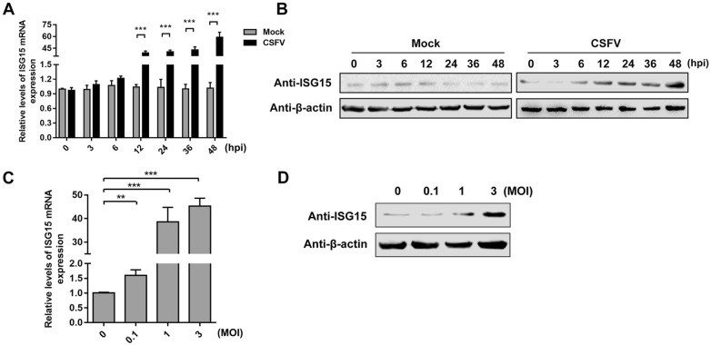 Figure 3