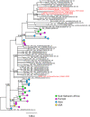 Fig. 2
