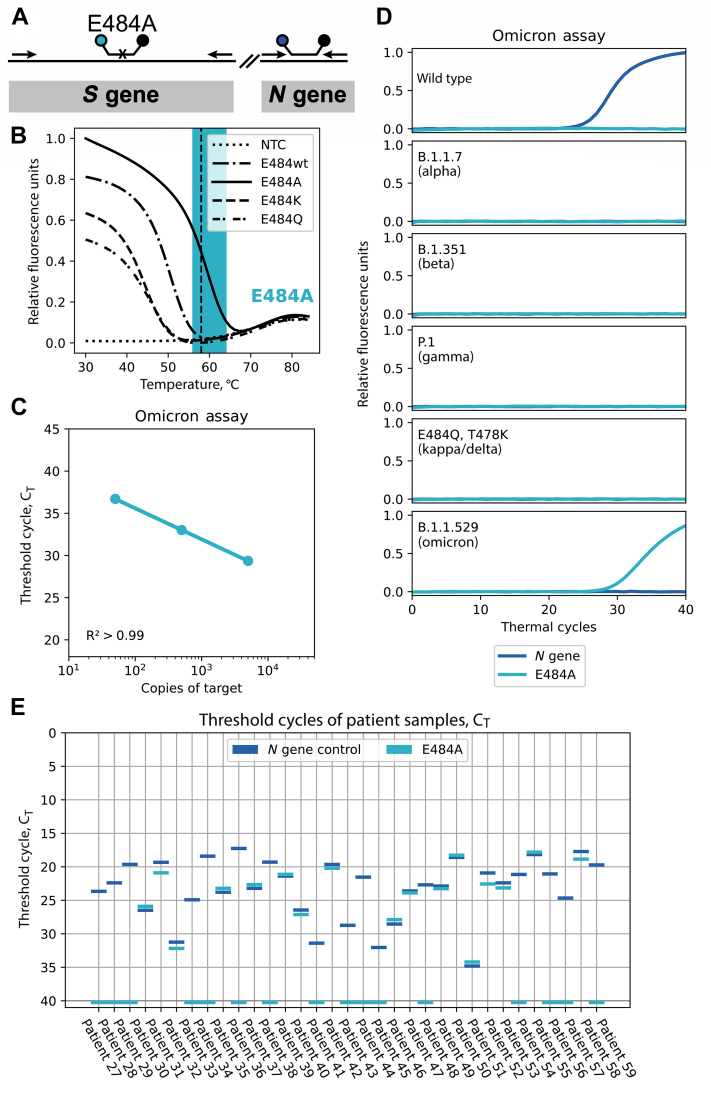 Figure 5