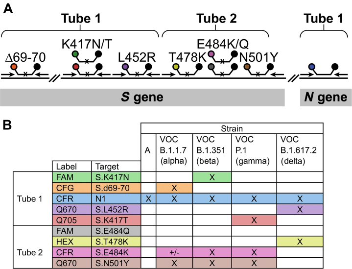 Figure 1