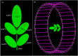 Fig. 10
