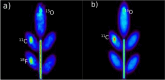 Fig. 3