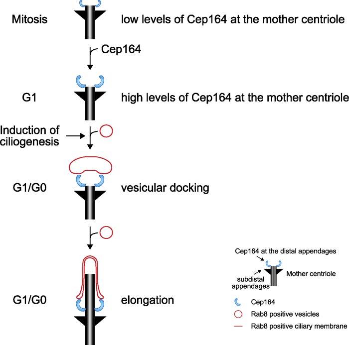 Figure 10.