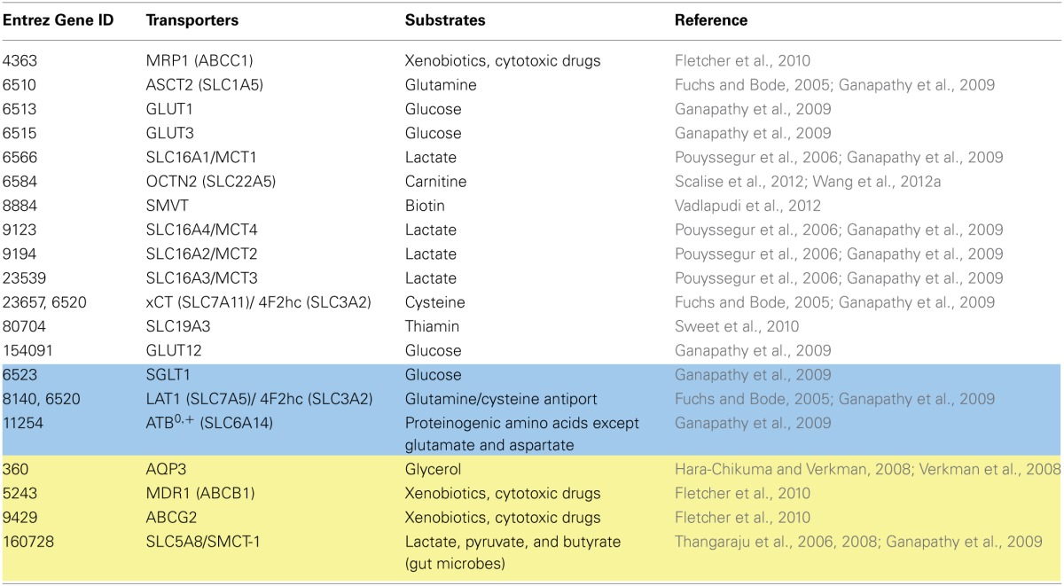 graphic file with name fphys-05-00091-i0005.jpg