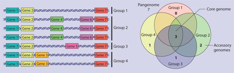 FIG 3