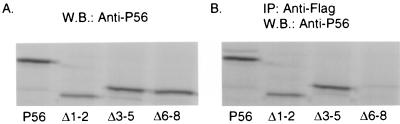 FIG. 5