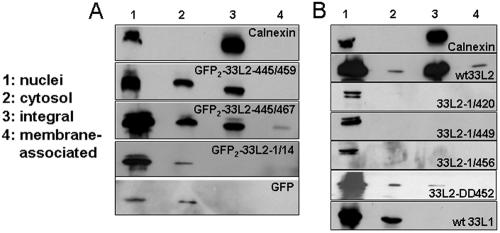 FIG. 8.