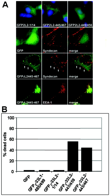 FIG. 6.