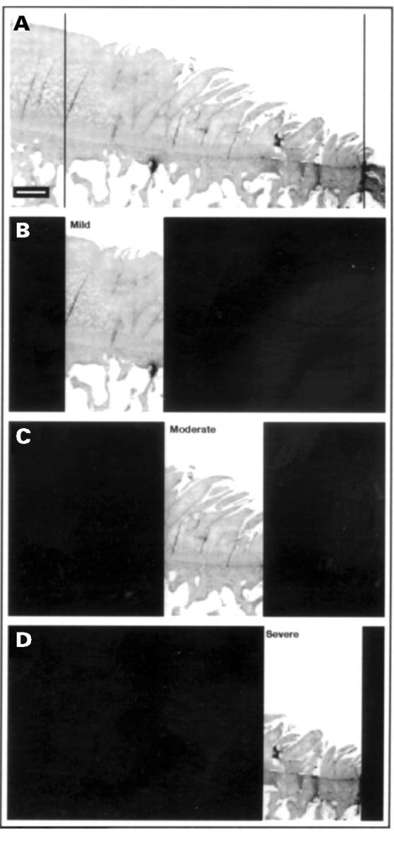 Figure 1  