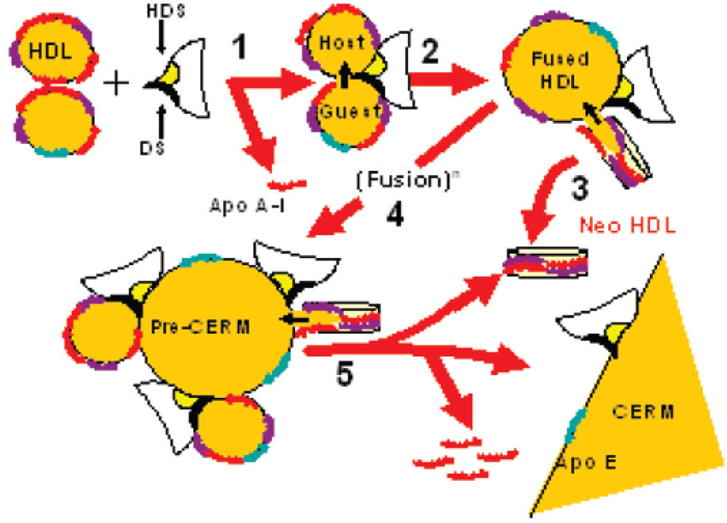 FIGURE 9