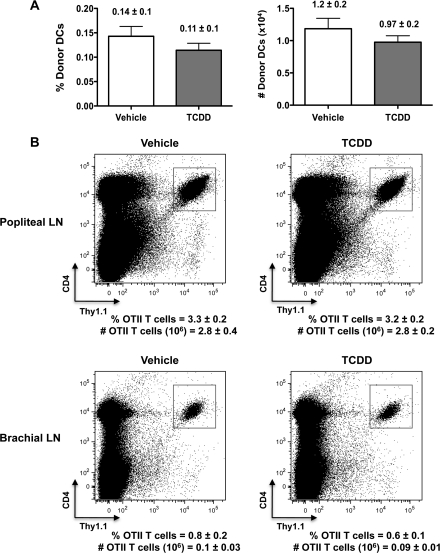 FIG. 8.