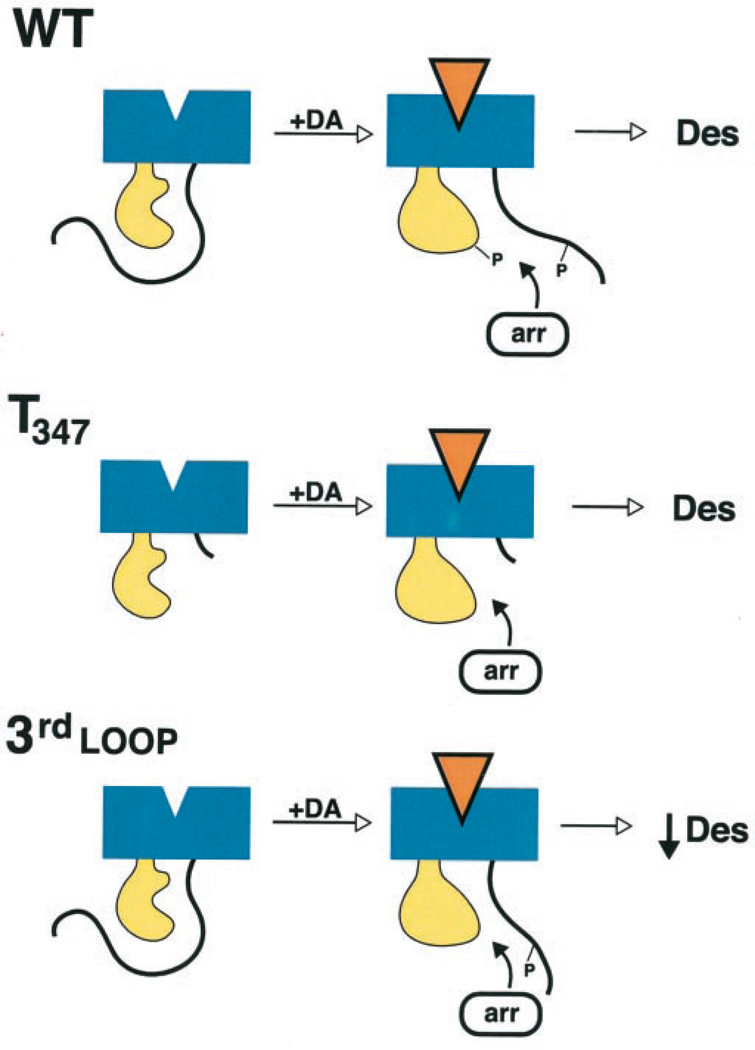 Fig. 14