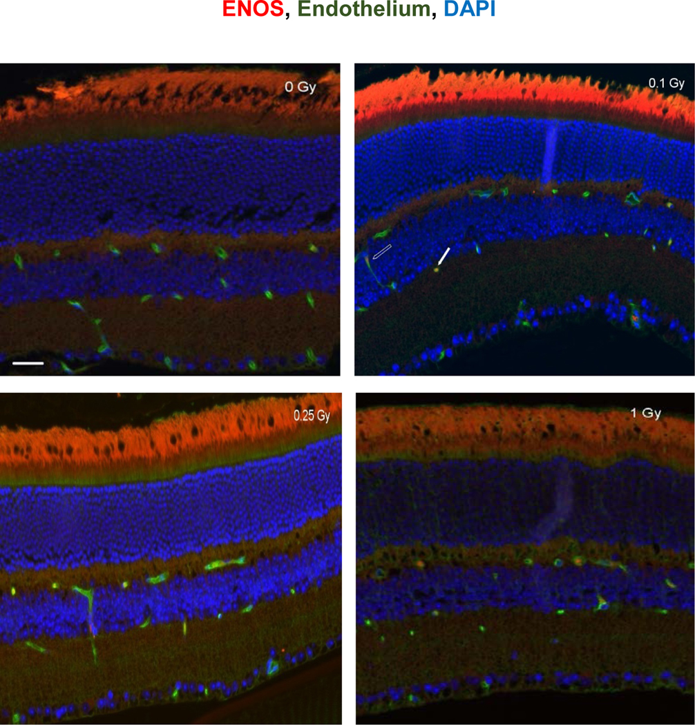 Figure 4: