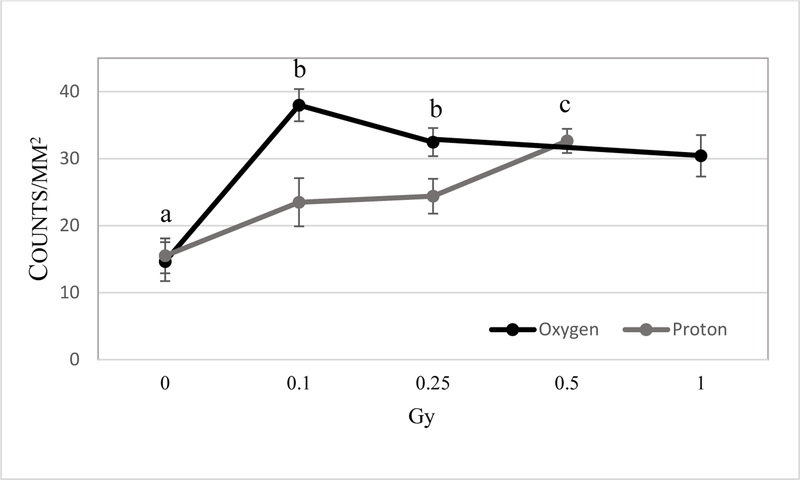 Figure 6: