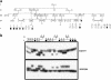 Figure  1