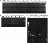 Figure  2