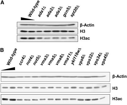 Figure 2.—