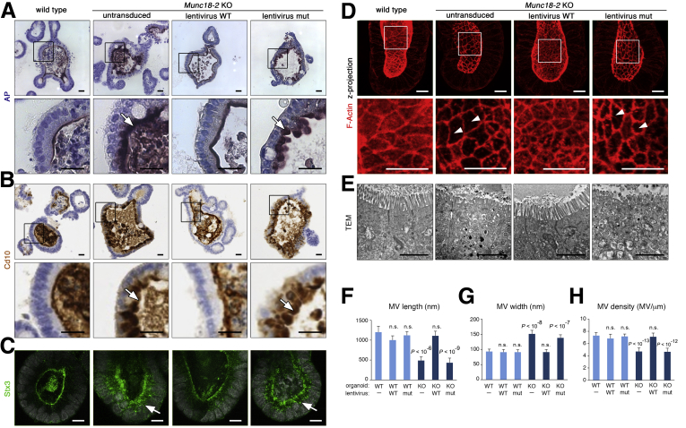 Figure 4