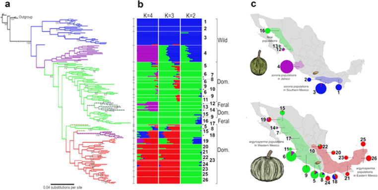 Fig. 3