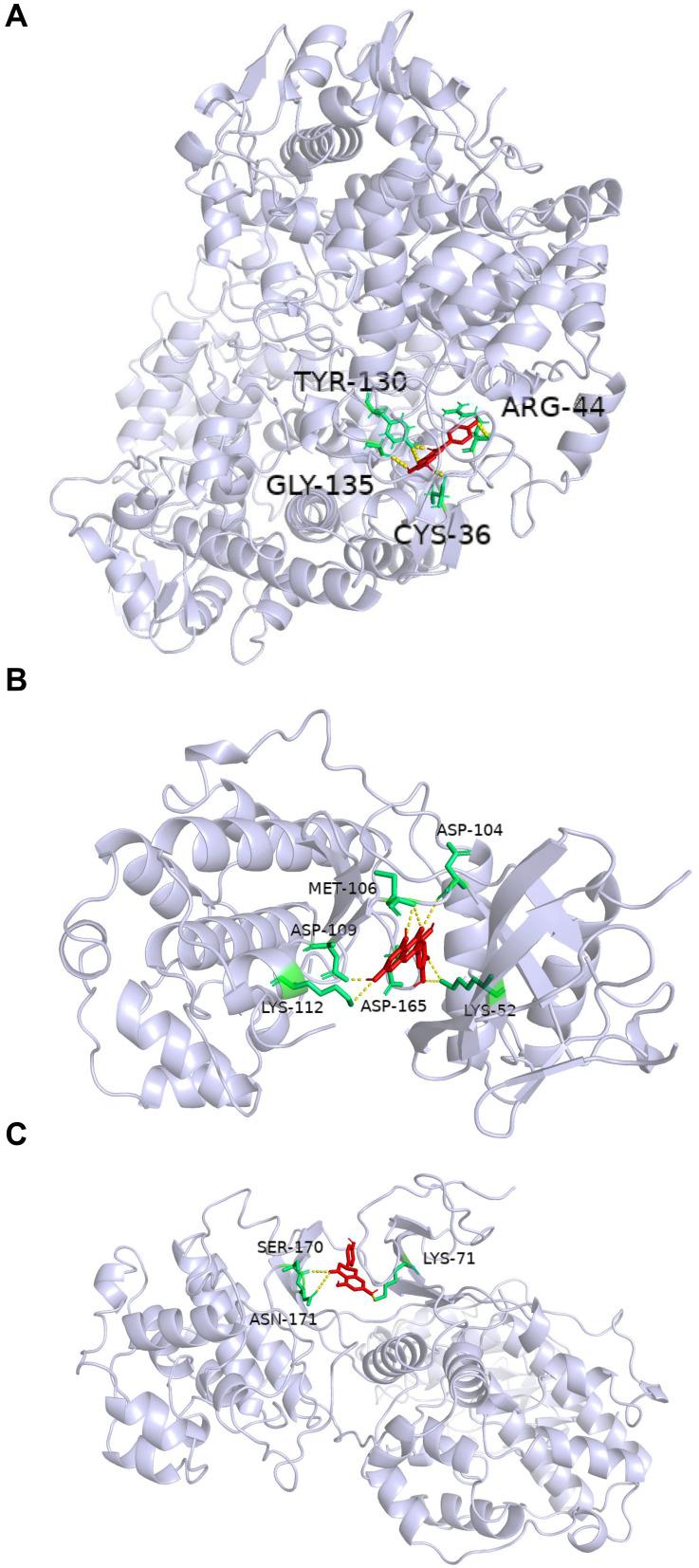 Figure 6