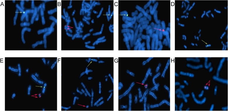 Fig. 2