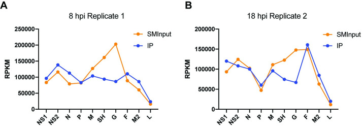 Fig 7