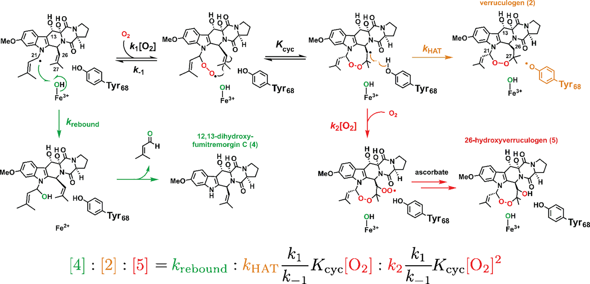 Figure 7.