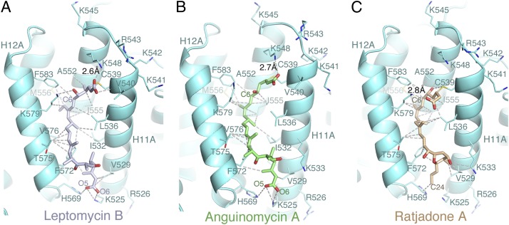 Fig. 3.