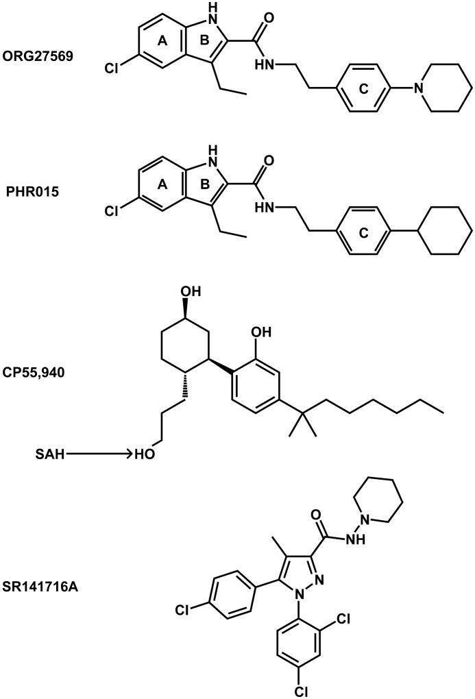 FIGURE 1.