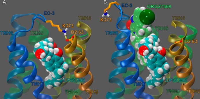 FIGURE 11.