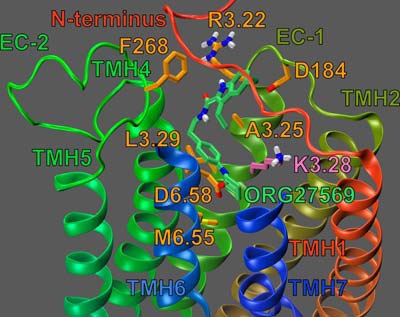 FIGURE 13.