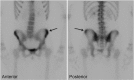 Fig 2 –
