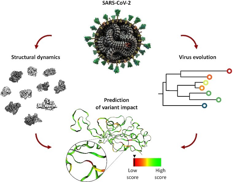 Graphical Abstract