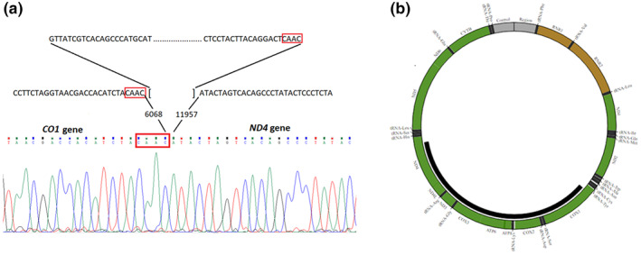 FIGURE 3