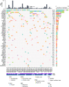 Figure 1. Mutational landscape of urothelial cancers included in MATCH-R or MOSCATO studies, with WES ± RNA-seq performed. CNV, copy-number variation; INDEL, insertion/deletion; mut/Mb, mutations per megabase; SNP, single-nucleotide polymorphism; TMB, tumor mutation burden.