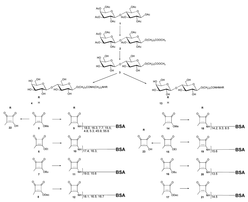 Scheme 1