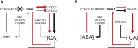 Figure 7