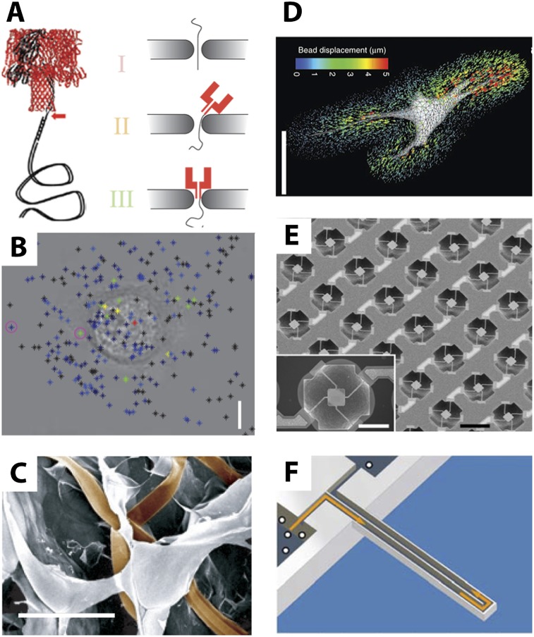 Figure 3.