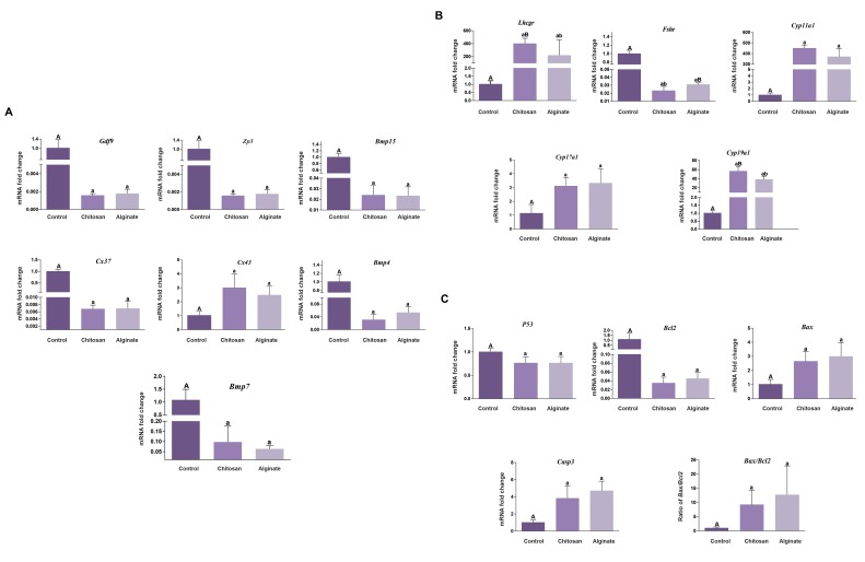 Fig.4