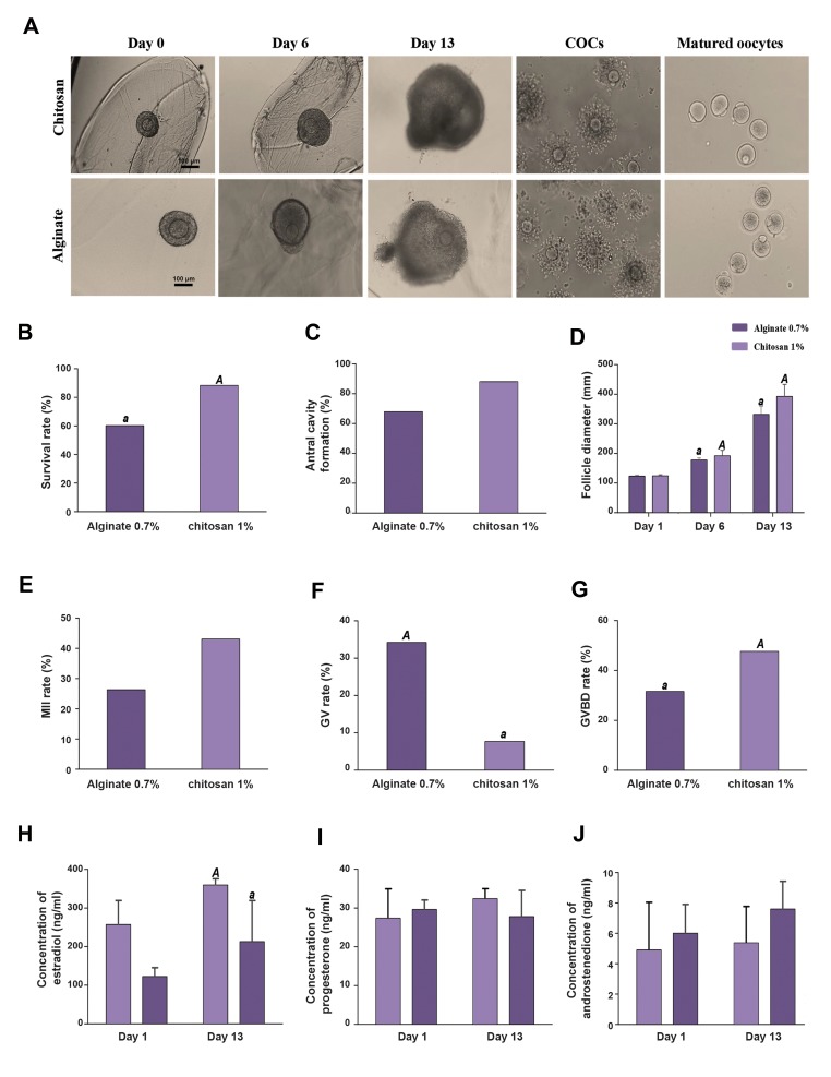 Fig.3