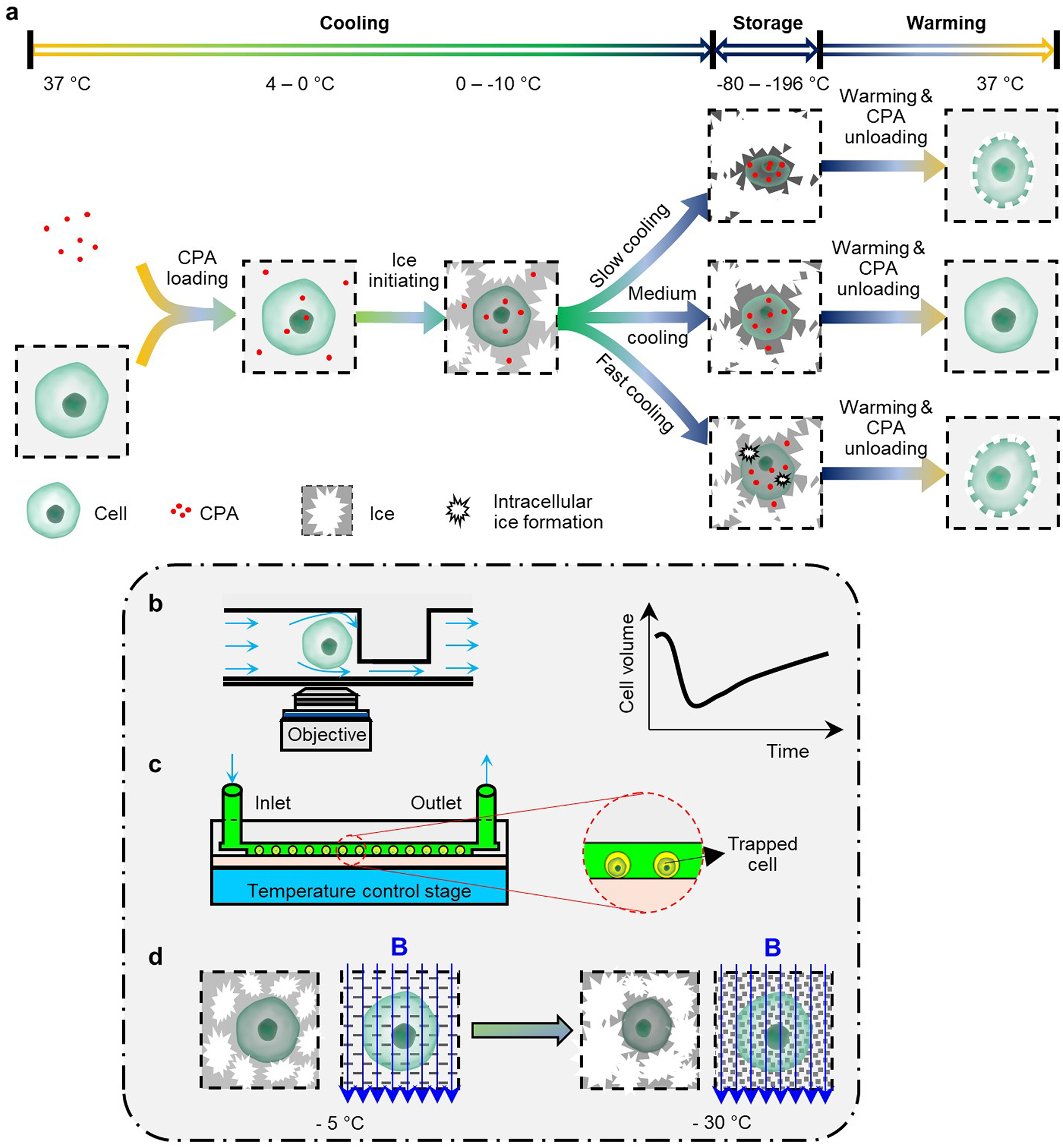 Fig. 3 |