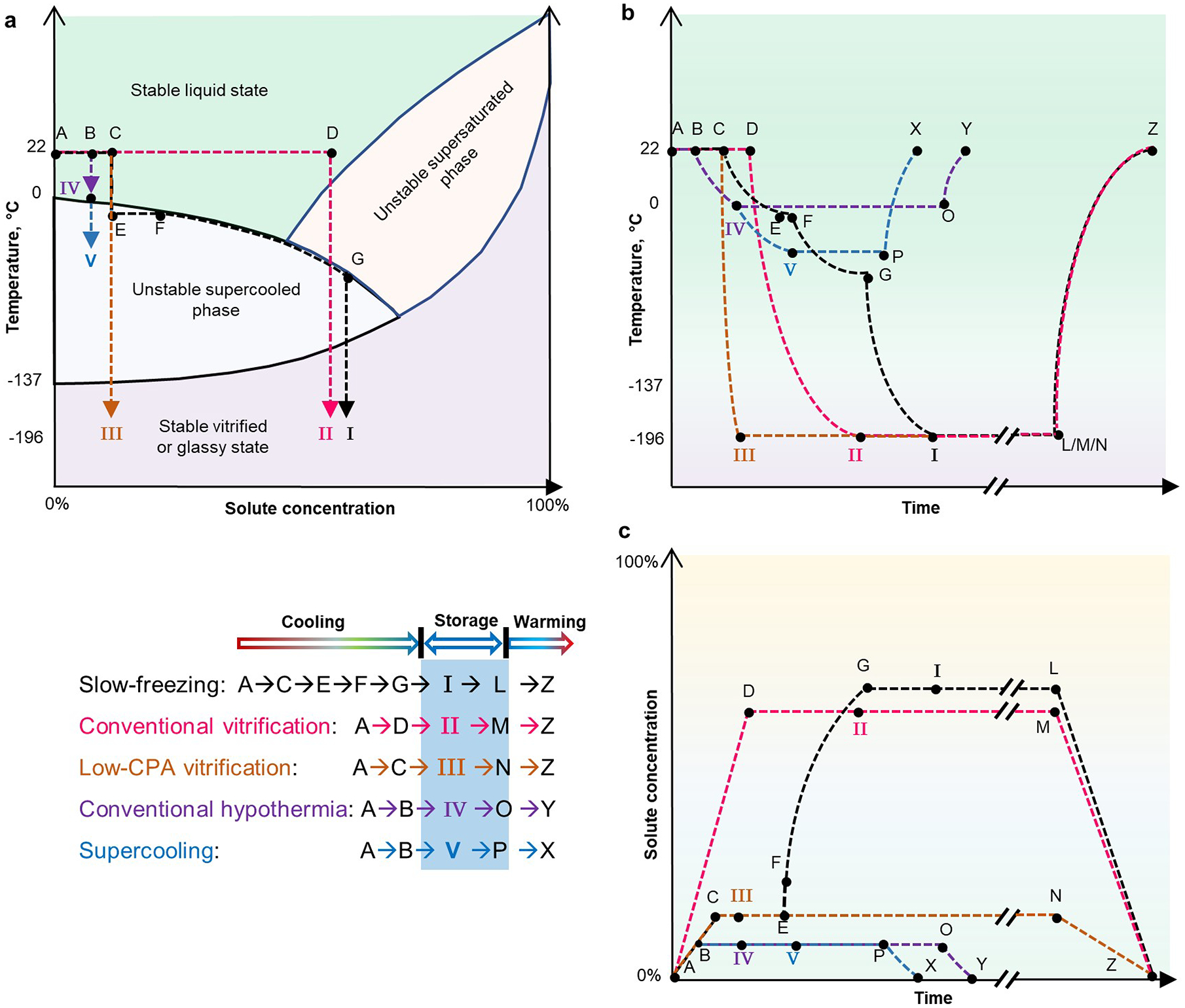 Fig. 2 |