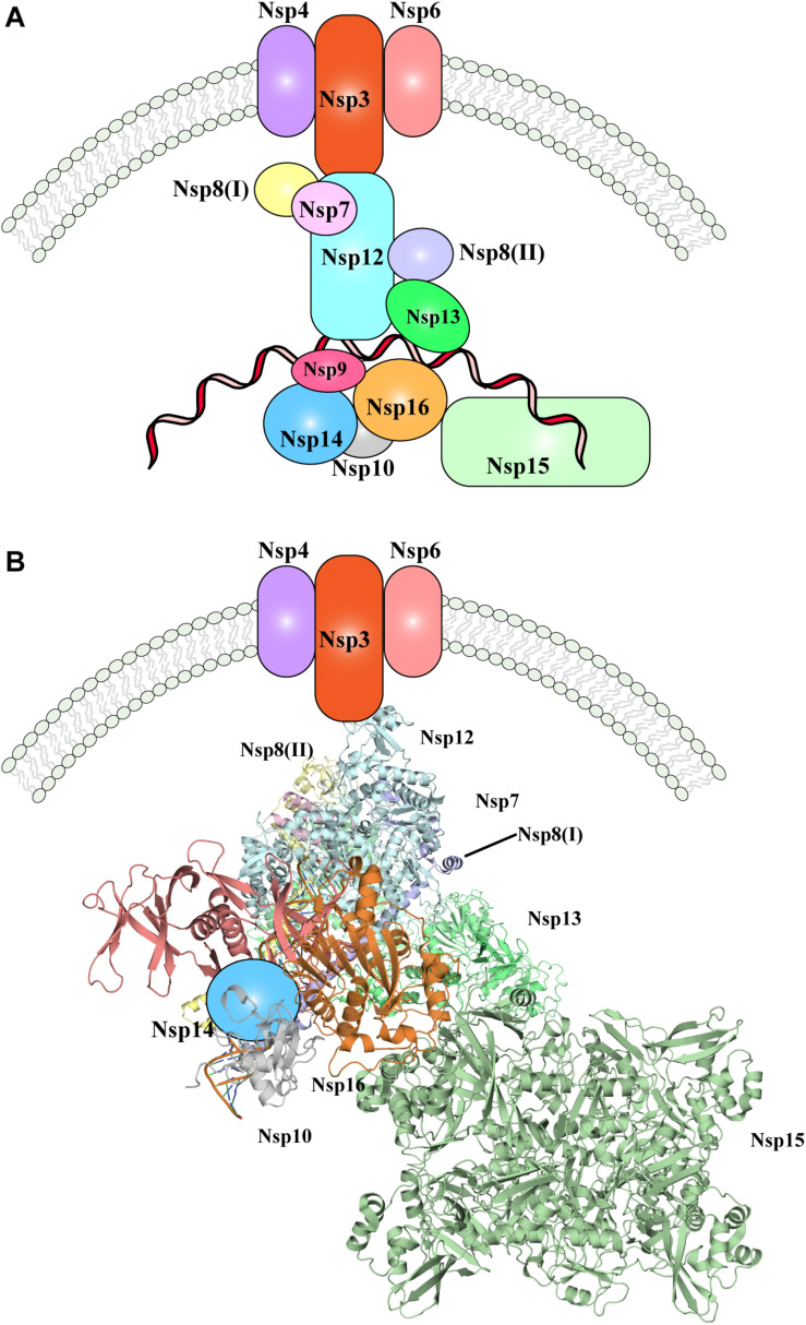 FIGURE 3