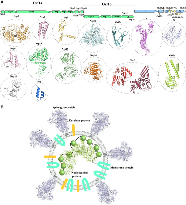 FIGURE 1