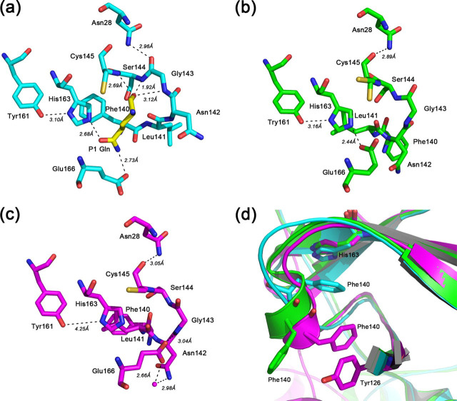 FIGURE 4