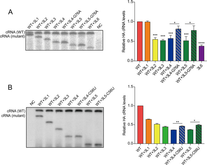 FIG 6