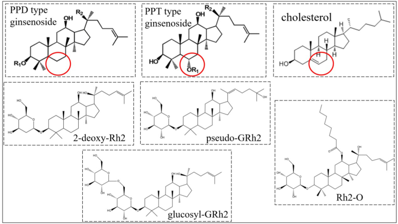 Fig. 4