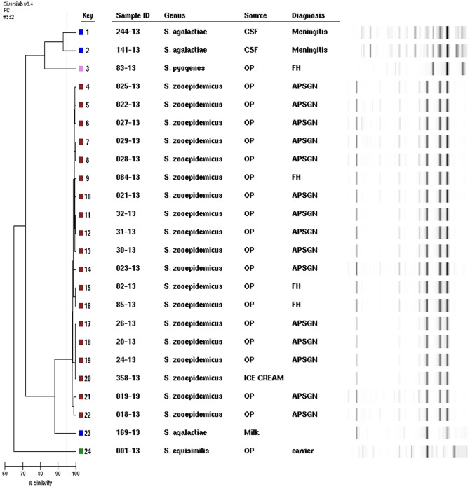 FIG 1