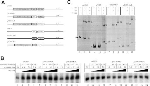 FIGURE 4.