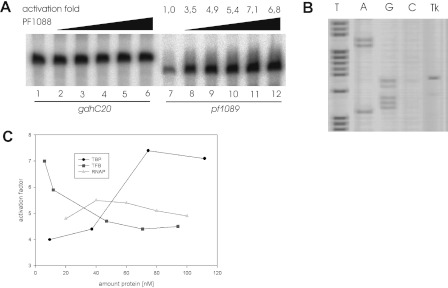 FIGURE 3.